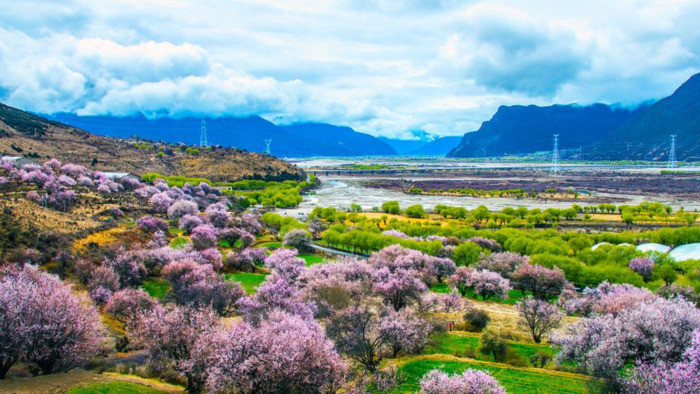 八字中何为官印【八字中的官印什么意思】