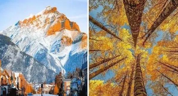 中心构图法图片【中心构图法的特点】