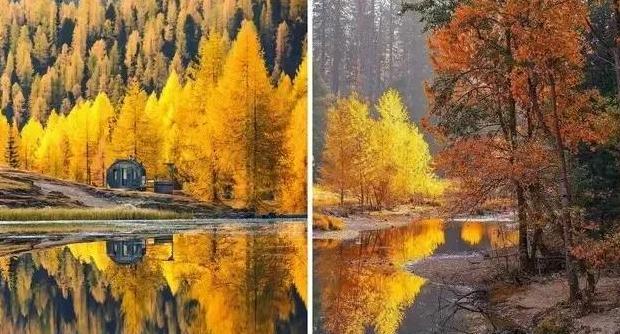 中心构图法图片【中心构图法的特点】