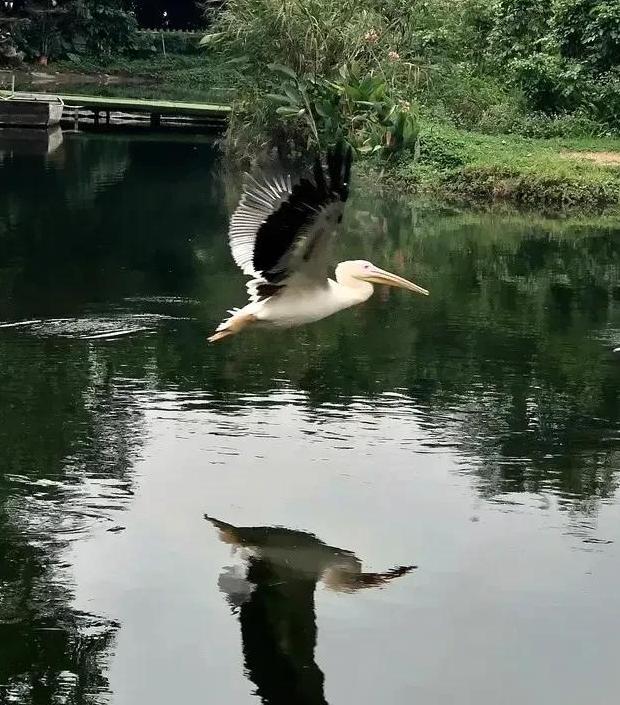 中心构图法图片【中心构图法的特点】