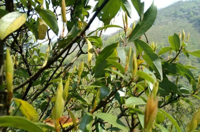 火锅照片 精美图片【重庆火锅图片真实照片】