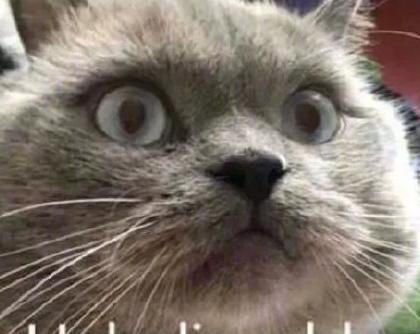 为什么小红书自营便宜【我在小红书自营买的东西是真的】