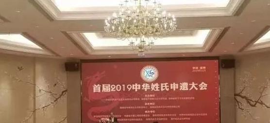 赵字图案设计【赵字设计创意】