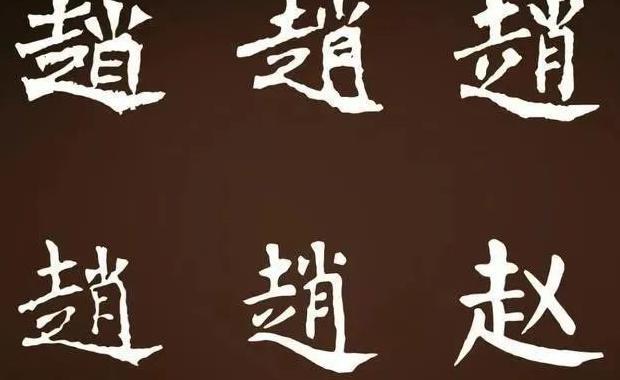 赵字图案设计【赵字设计创意】