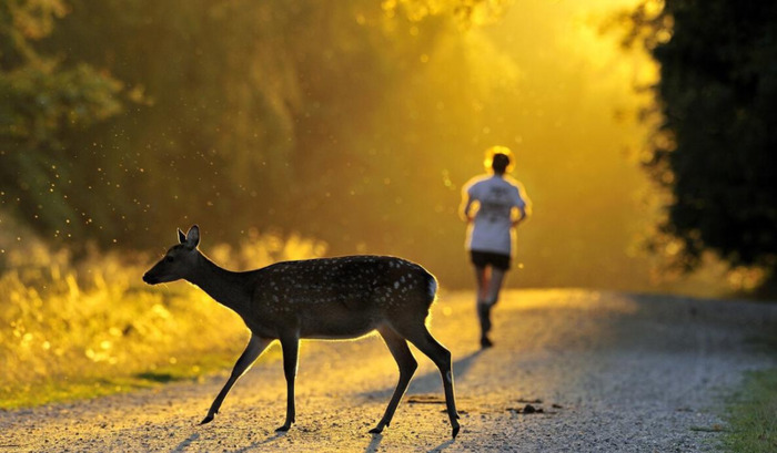 对生活失去信心是抑郁的说说【抑郁患者怎么劝说】