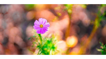 人生短暂,珍惜当下【人生短暂,且行且珍惜】