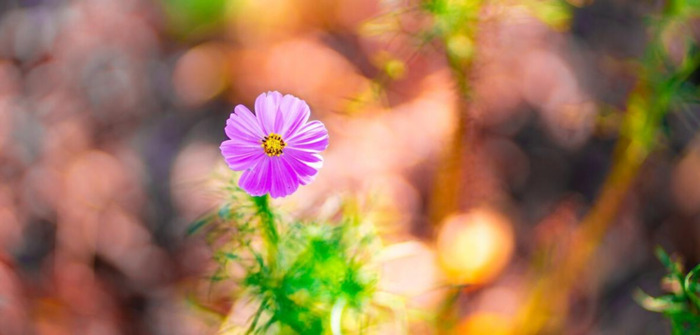 人生短暂,珍惜当下【人生短暂,且行且珍惜】