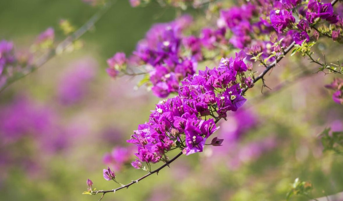 人生短暂,珍惜当下【人生短暂,且行且珍惜】