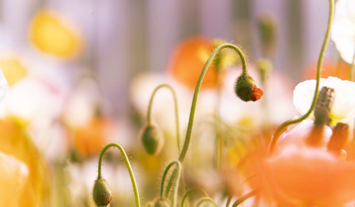 人生短暂,珍惜当下【人生短暂,且行且珍惜】