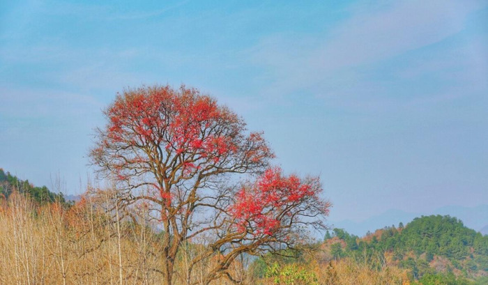 人生短暂,珍惜当下【人生短暂,且行且珍惜】