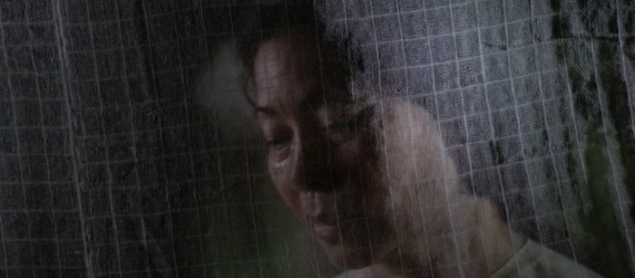 帮姥姥搬家我在后排强子【帮姥姥搬家】