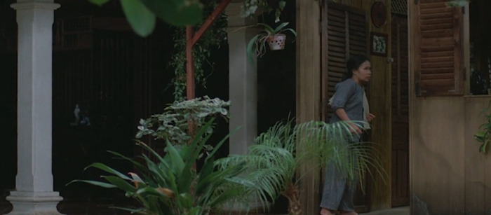 帮姥姥搬家我在后排强子【帮姥姥搬家】