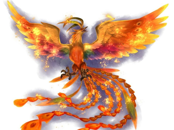 喵内噶是什么动漫【喵内噶是谁说的】