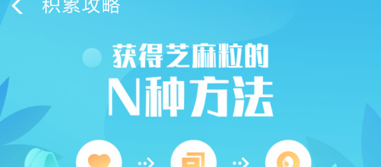 芝麻粒怎么送给别人【芝麻粒可以送人吗?】