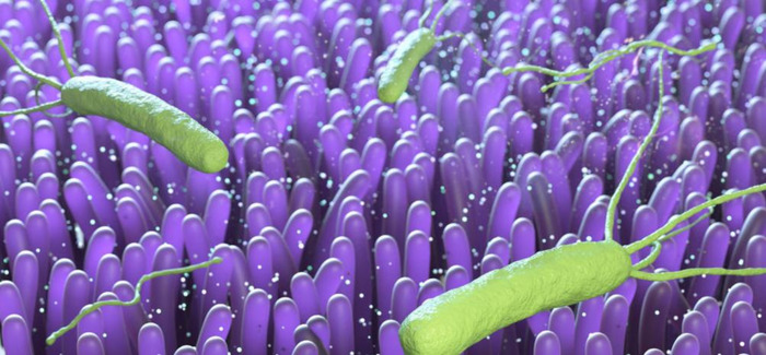 龃龉【枸橼酸铋钾胶囊】