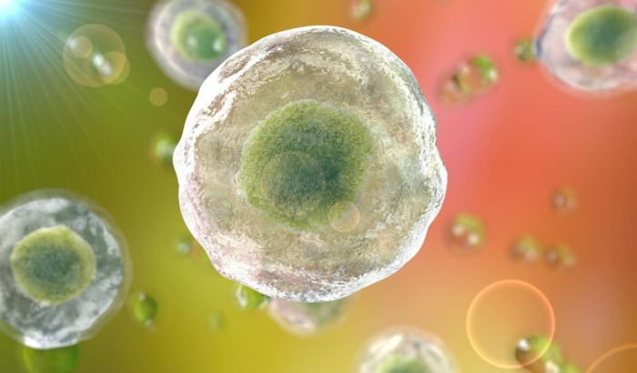 龃龉【枸橼酸铋钾胶囊】