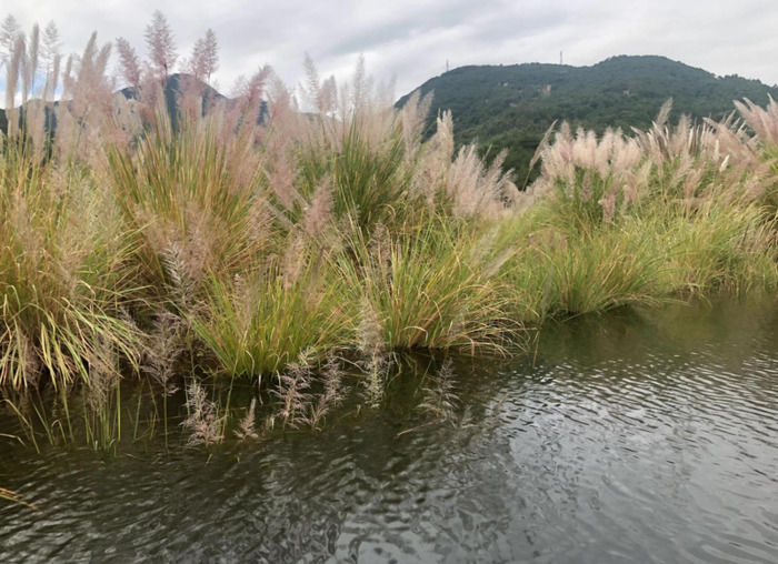 活着读书心得500字【《活着》读书心得400字】