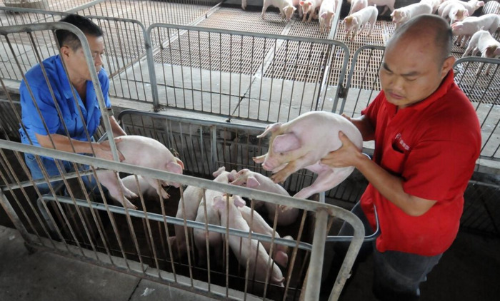 95油价最新消息今日【赤峰油价最新消息今日】