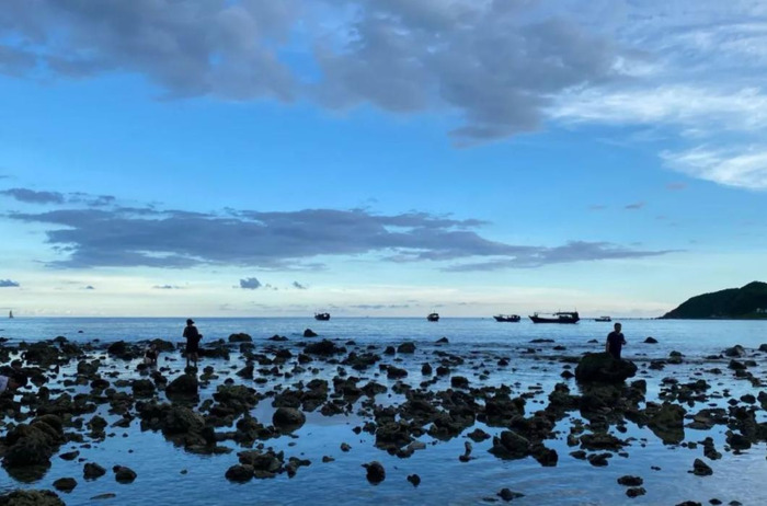 komorebi钢琴谱完整版数字谱【komorebi钢琴谱完整版bilibili】