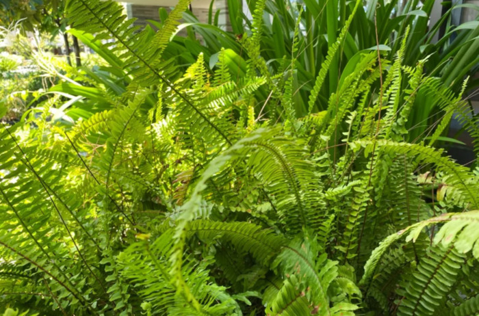 komorebi钢琴谱完整版数字谱【komorebi钢琴谱完整版bilibili】