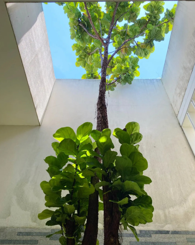 komorebi钢琴谱完整版数字谱【komorebi钢琴谱完整版bilibili】