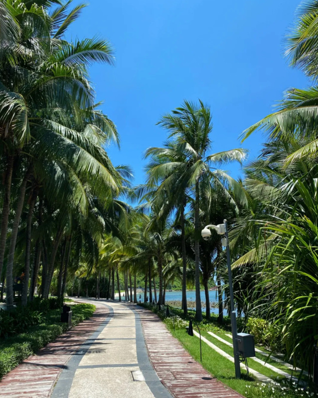 komorebi钢琴谱完整版数字谱【komorebi钢琴谱完整版bilibili】