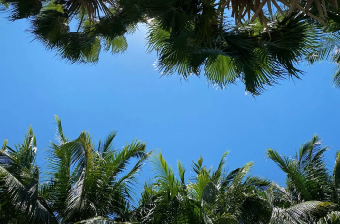 komorebi钢琴谱完整版数字谱【komorebi钢琴谱完整版bilibili】