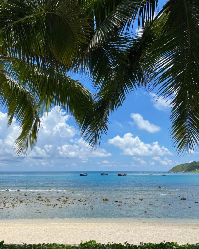 komorebi钢琴谱完整版数字谱【komorebi钢琴谱完整版bilibili】