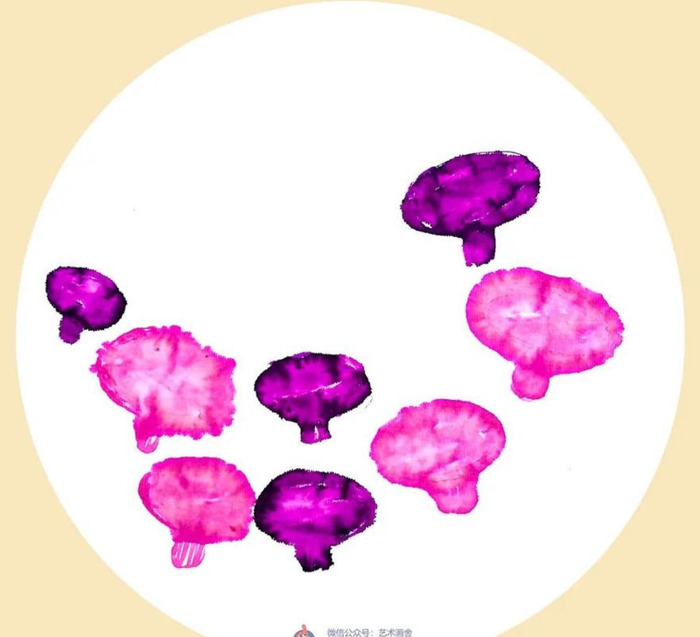 牵牛花简笔画图片大全【牵牛花简笔画图片大全 彩色】