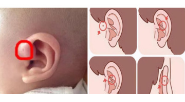 耳垂大小和福气有关吗男子【耳垂大有福气还是耳垂厚有福气】