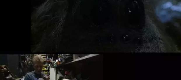 临时停车不受限制标志图片【禁止临时停车、长时间停车的标志图片】