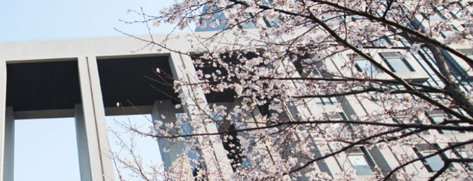 it专业学校有哪些【it行业哪个专业好】