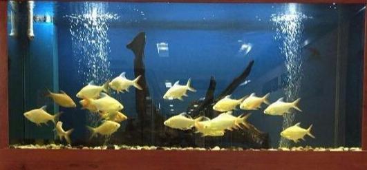 风水上最快聚财的方法?学会纳财聚财很重要!【风水上最快聚财的方法是什么呢】