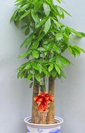 风水上最快聚财的方法?学会纳财聚财很重要!【风水上最快聚财的方法是什么呢】