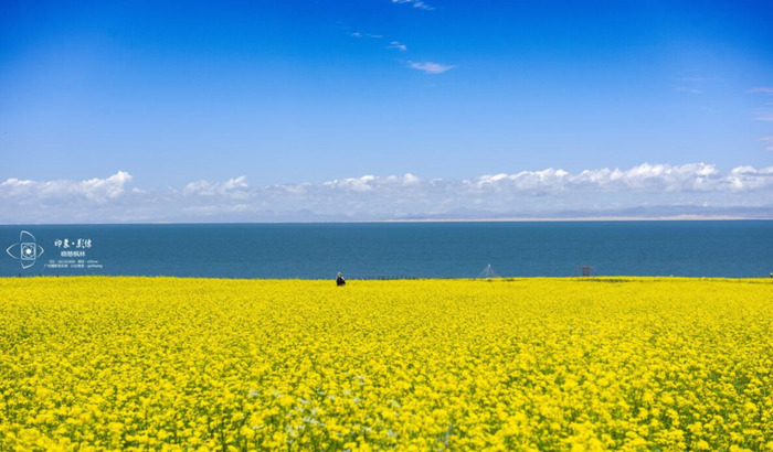 厦门路动迁安置房【厦门路动迁房源】