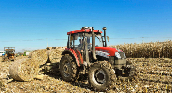 不愁销路的小工厂项目 创业项目【不愁销路的小工厂项目有哪些?办什么厂不怕卖不出去?】