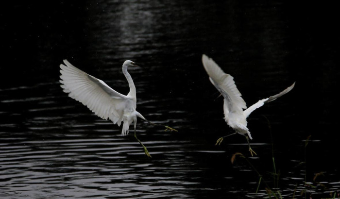 秋可以组什么偏旁【秋可以怎么组词】