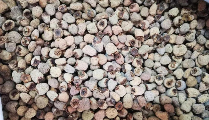 太子参多少钱一克【太子参的价格】