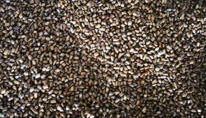 太子参多少钱一克【太子参的价格】