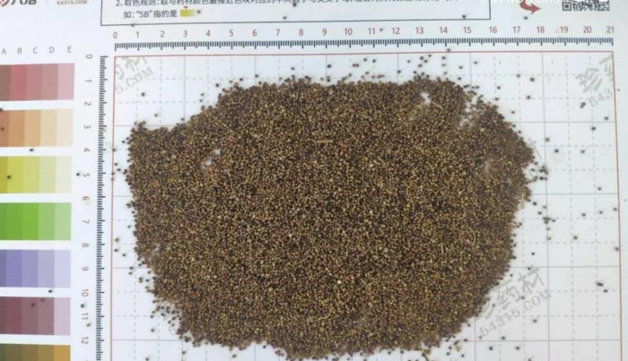 太子参多少钱一克【太子参的价格】