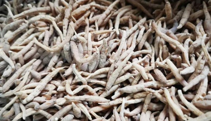 太子参多少钱一克【太子参的价格】