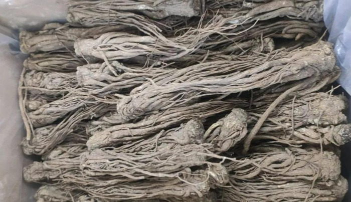 太子参多少钱一克【太子参的价格】