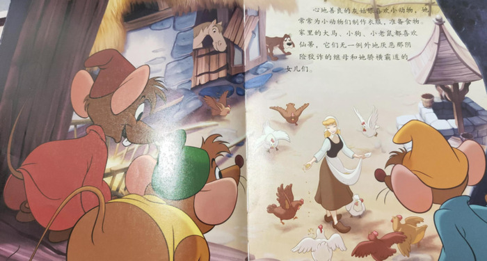 灰姑娘的好词好句有哪些【灰姑娘的好词好句和读后感】