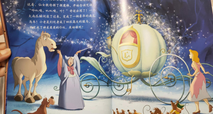 灰姑娘的好词好句有哪些【灰姑娘的好词好句和读后感】