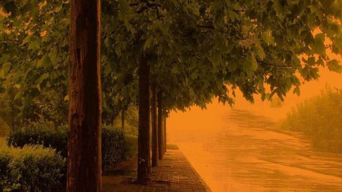 姐给弟的暖心话八字短语【姐给弟的暖心话八字珍惜时间】