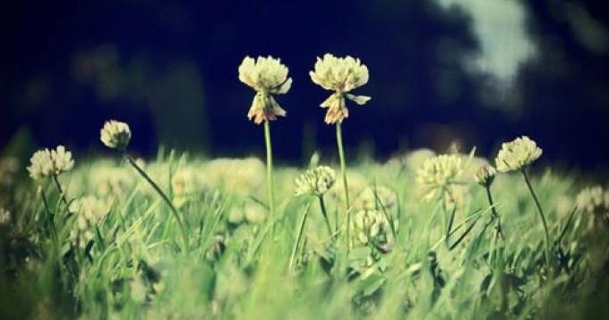 姐给弟的暖心话八字短语【姐给弟的暖心话八字珍惜时间】