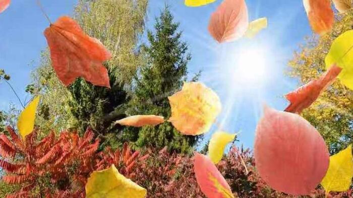 姐给弟的暖心话八字短语【姐给弟的暖心话八字珍惜时间】