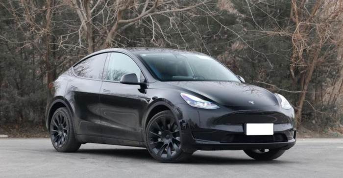 特斯拉车标图片及报价【特斯拉车标志】