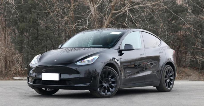 特斯拉车标图片及报价【特斯拉车标志】