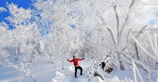 太平机场到雪乡大巴路线【哈尔滨到雪乡坐什么车?】